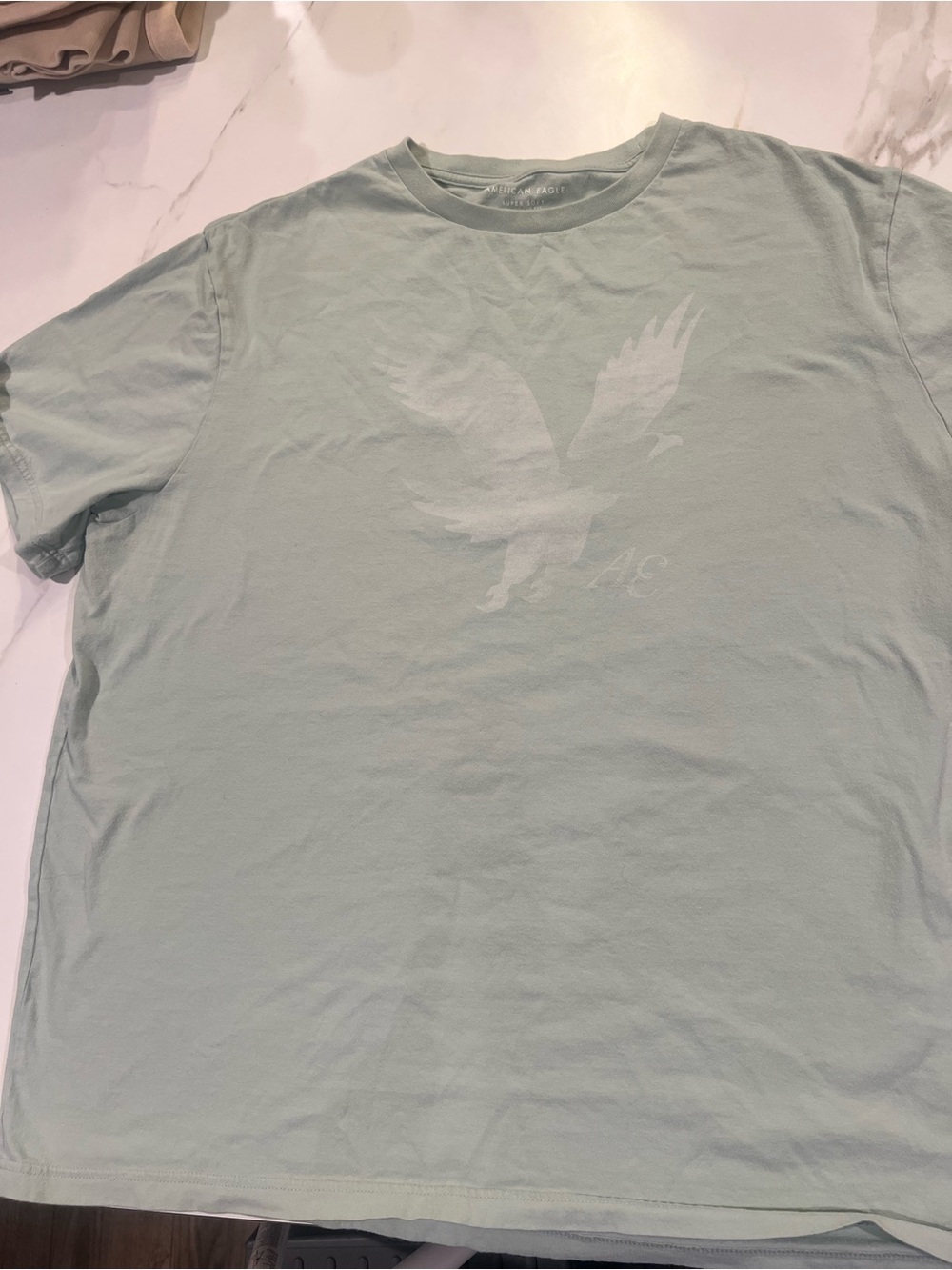 American Eagle Outfitters Light Sage Eagle Graphic Tee
